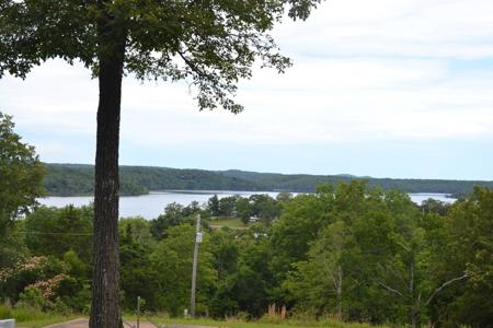 Bull Shoals Lake Resort for Sale - image 8