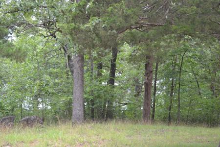 Bull Shoals Lake Resort for Sale - image 16