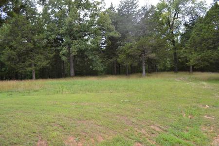 Bull Shoals Lake Resort for Sale - image 14