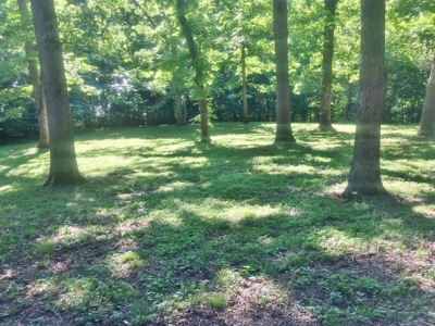Country Home for sale in Marion County Arkansas - image 22