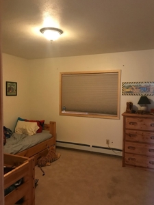 Mountain Property For Sale - image 6