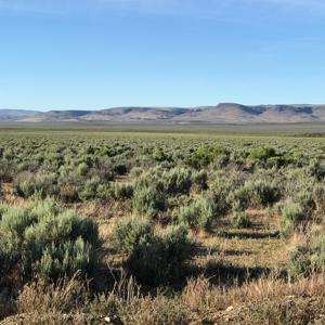 Nevada Outback 920 AC Land for Sale - image 24