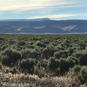 Nevada Outback 920 AC Land for Sale - image 32