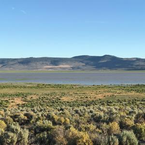 Nevada Outback 920 AC Land for Sale - image 38