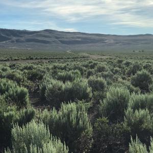 Nevada Outback 920 AC Land for Sale - image 13