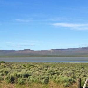 Nevada Outback 920 AC Land for Sale - image 4