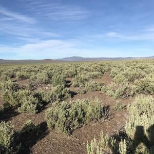 Nevada Outback 920 AC Land for Sale - image 7