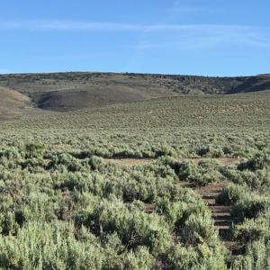 Nevada Outback 920 AC Land for Sale - image 18