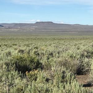 Nevada Outback 920 AC Land for Sale - image 9