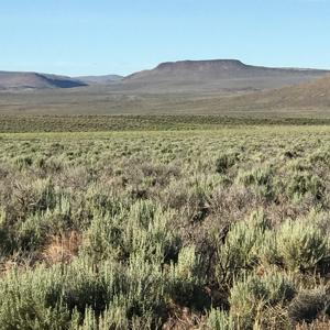 Nevada Outback 920 AC Land for Sale - image 22