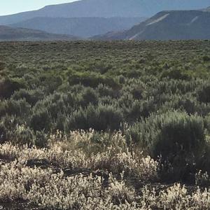 Nevada Outback 920 AC Land for Sale - image 30