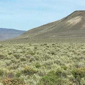 Nevada Outback 920 AC Land for Sale - image 12