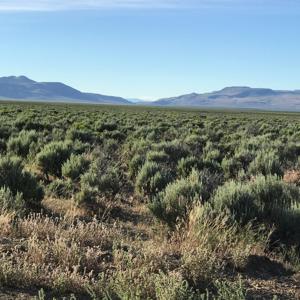 Nevada Outback 920 AC Land for Sale - image 19