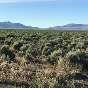 Nevada Outback 920 AC Land for Sale - image 20