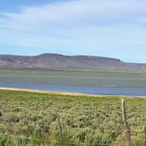 Nevada Outback 920 AC Land for Sale - image 3