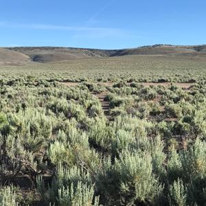 Nevada Outback 920 AC Land for Sale - image 17