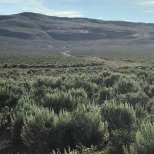 Nevada Outback 920 AC Land for Sale - image 14