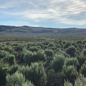 Nevada Outback 920 AC Land for Sale - image 15