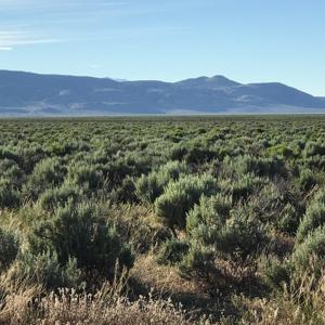 Nevada Outback 920 AC Land for Sale - image 34