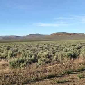 Nevada Outback 920 AC Land for Sale - image 23