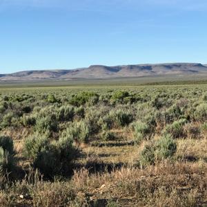 Nevada Outback 920 AC Land for Sale - image 21