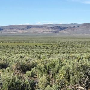 Nevada Outback 920 AC Land for Sale - image 10