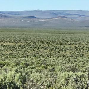 Nevada Outback 920 AC Land for Sale - image 11