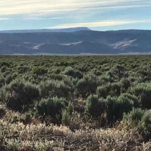 Nevada Outback 920 AC Land for Sale - image 33