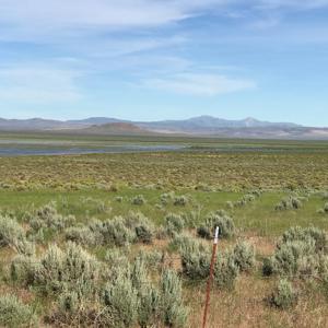 Nevada Outback 920 AC Land for Sale - image 40