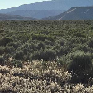 Nevada Outback 920 AC Land for Sale - image 31