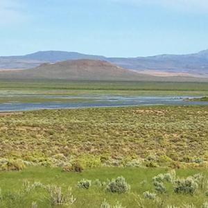 Nevada Outback 920 AC Land for Sale - image 2