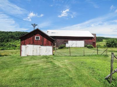 100+ Acres w/Farmhouse For Sale in Wellsboro, PA-Hunting Opp - image 19