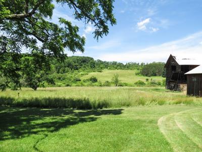 100+ Acres w/Farmhouse For Sale in Wellsboro, PA-Hunting Opp - image 18