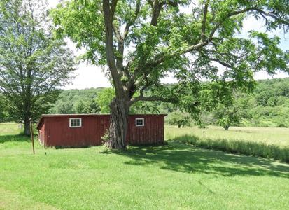 100+ Acres w/Farmhouse For Sale in Wellsboro, PA-Hunting Opp - image 17