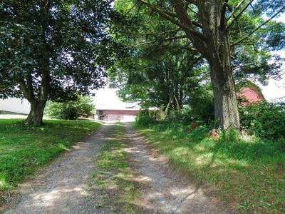 100+ Acres w/Farmhouse For Sale in Wellsboro, PA-Hunting Opp - image 29