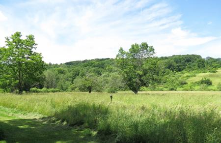 100+ Acres w/Farmhouse For Sale in Wellsboro, PA-Hunting Opp - image 24