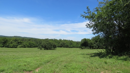 Farm For Sale in Greenfield, Missouri - image 29