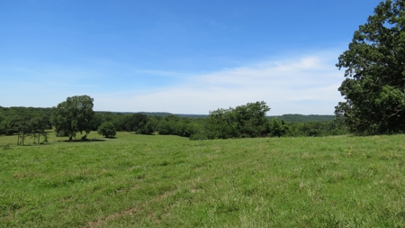 Farm For Sale in Greenfield, Missouri - image 28