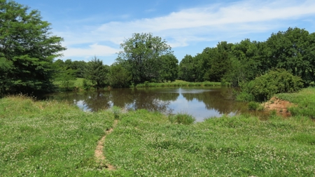 Farm For Sale in Greenfield, Missouri - image 33