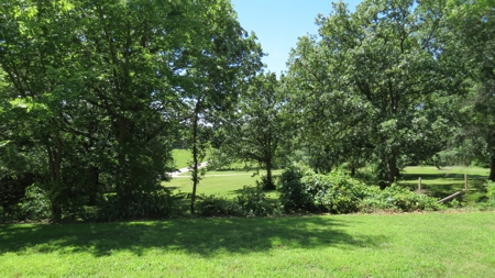 Farm For Sale in Greenfield, Missouri - image 11