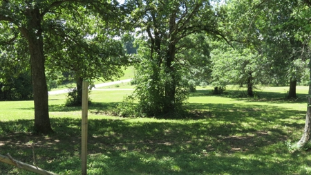 Farm For Sale in Greenfield, Missouri - image 7