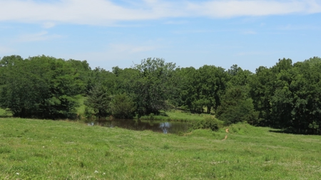 Farm For Sale in Greenfield, Missouri - image 32