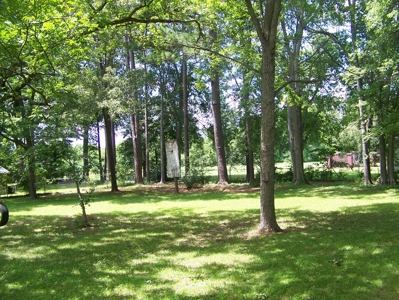 Affordable Home For Sale In Adamsville, Tn Near Shopping - image 46