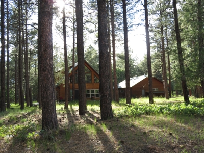 Brazos Area Log Cabin for Sale near Chama NM Vacation Home - image 1