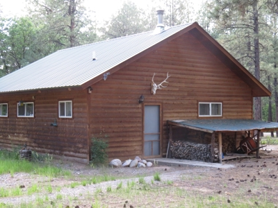Brazos Area Log Cabin for Sale near Chama NM Vacation Home - image 13
