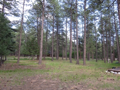 Brazos Area Log Cabin for Sale near Chama NM Vacation Home - image 8