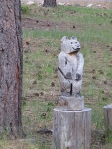 Brazos Area Log Cabin for Sale near Chama NM Vacation Home - image 15