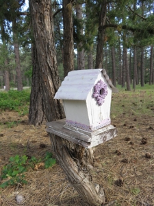 Brazos Area Log Cabin for Sale near Chama NM Vacation Home - image 11