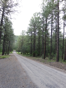 Brazos Area Log Cabin for Sale near Chama NM Vacation Home - image 16