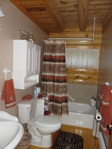 Brazos Area Log Cabin for Sale near Chama NM Vacation Home - image 23